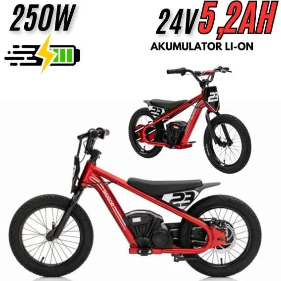 auteczka-1202606101152593544556