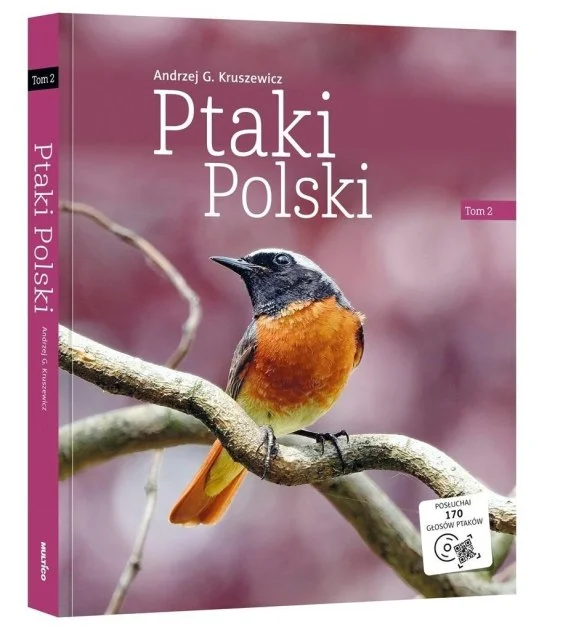 edukamp-1202606101305523557736