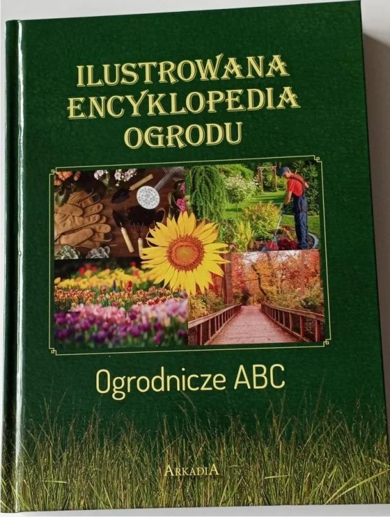 edukamp-12026061113043112975
