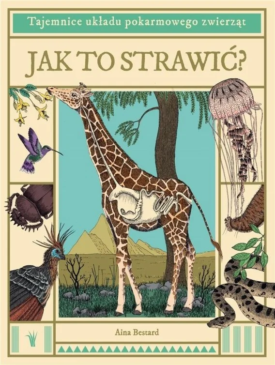 edukamp-12026061121212647835