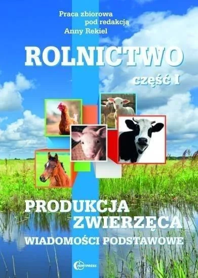 edukamp-12026061121582550000