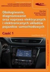 edukamp-12026061205410482119