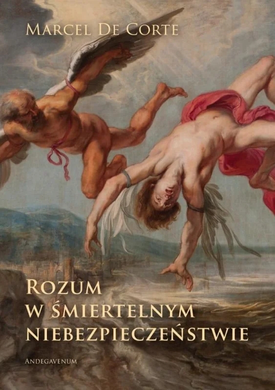 edukamp-12026061207282087416