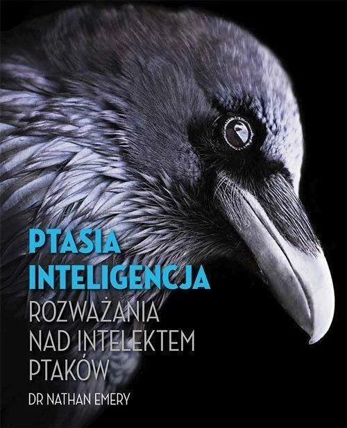 edukamp-120260612133444120797