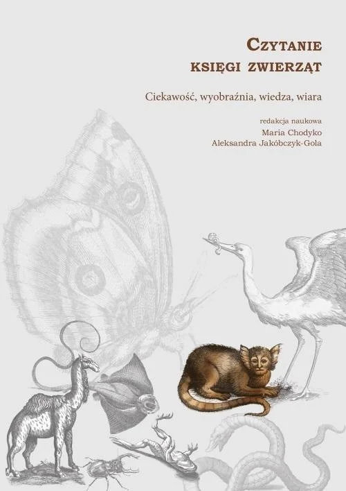 edukamp-120260612161115128793
