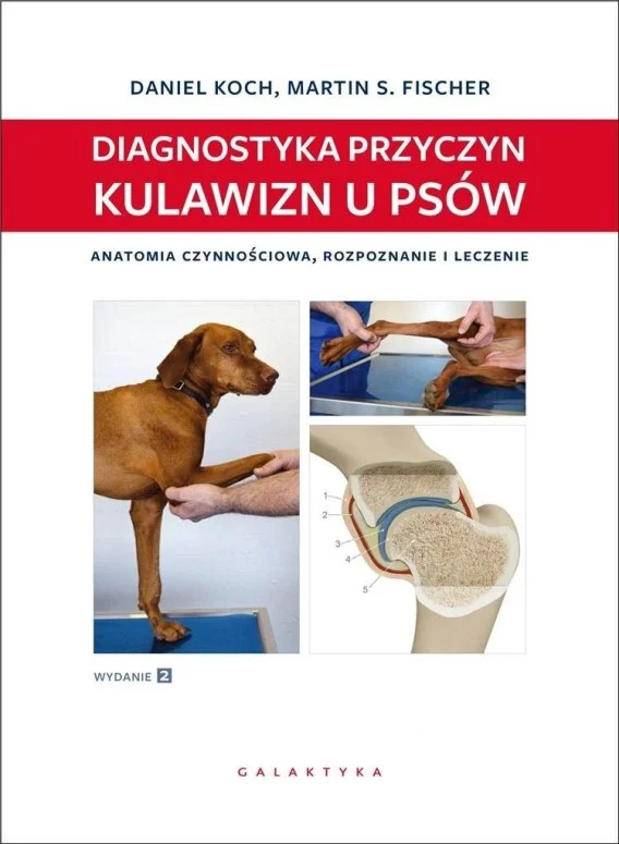 edukamp-120260614080909383318