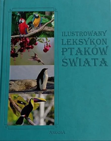 edukamp-120260615094333515255