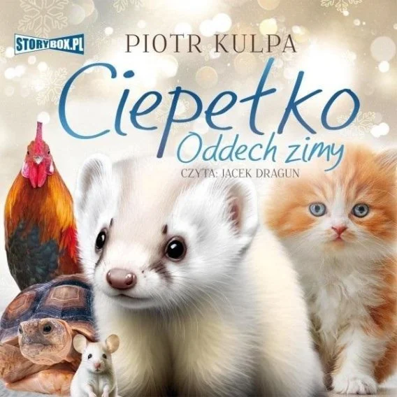 edukamp-2202606101326373561225