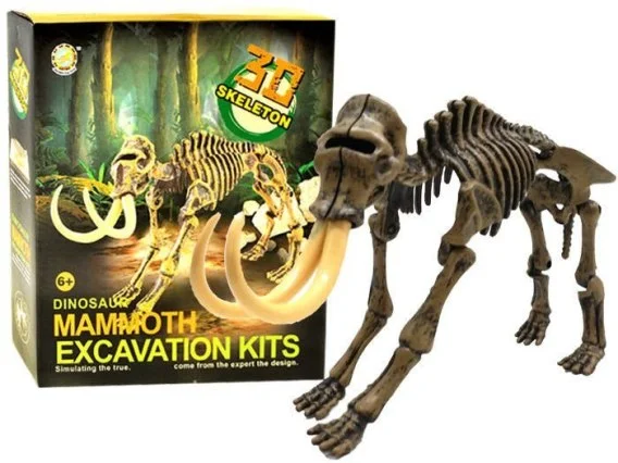 edukamp-2202606101452503575010