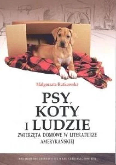 edukamp-2202606101824433609982