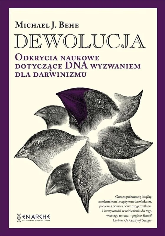 edukamp-2202606102118143628127