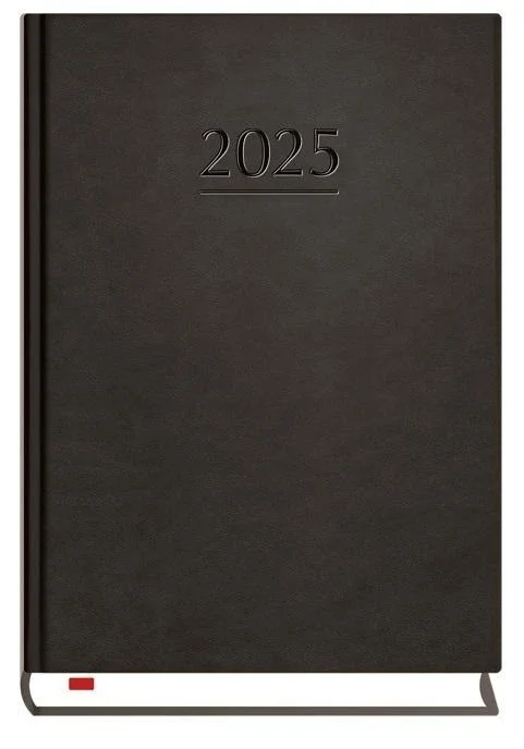 edukamp-2202606102159123630719