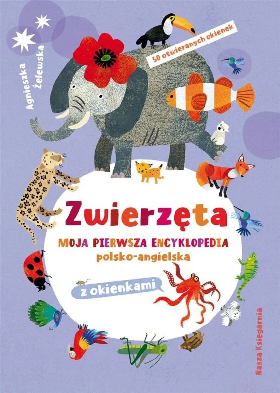 edukamp-2202606102253523634043
