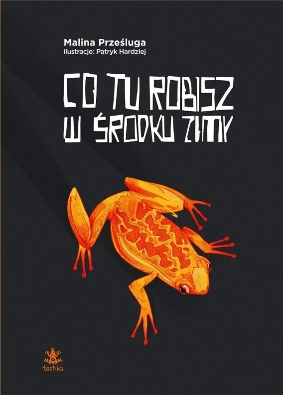 edukamp-2202606102353363637685