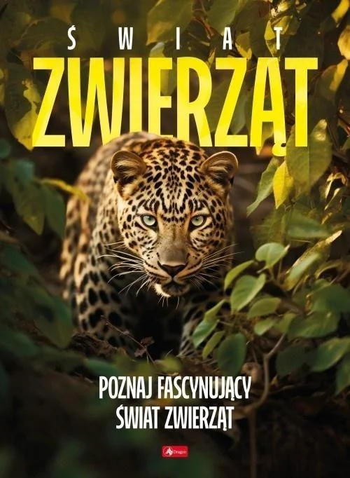 edukamp-2202606110052033641202