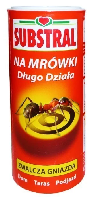 edukamp-2202606110257193648839