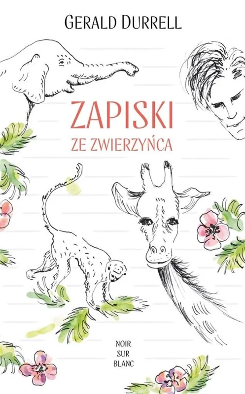 edukamp-2202606110835123669881