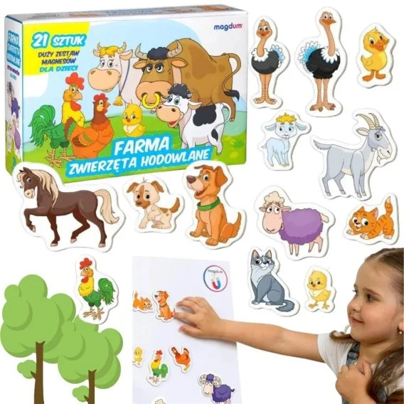edukamp-2202606111128586509