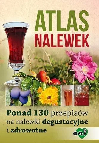 edukamp-22026061117532733546