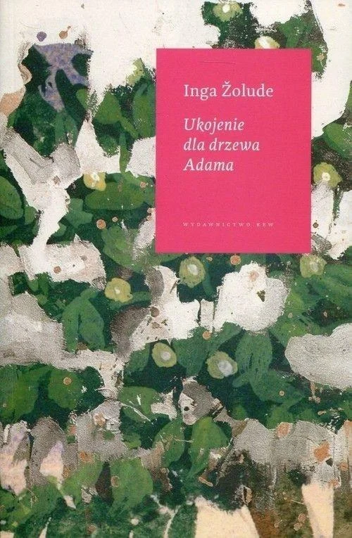 edukamp-22026061118340236515