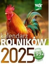 edukamp-22026061123191654876