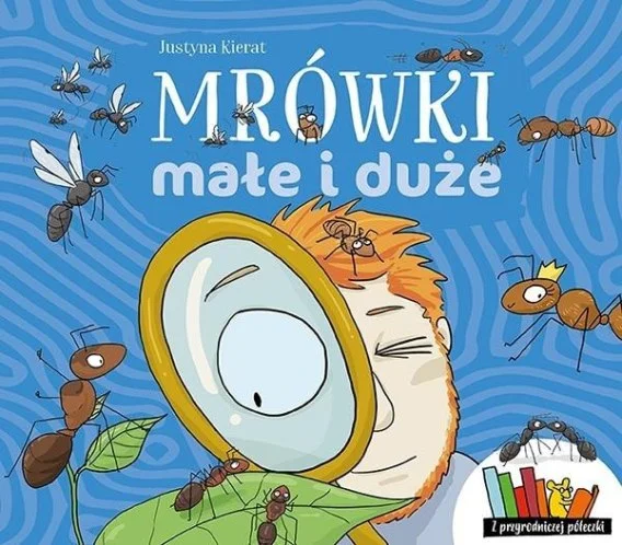 edukamp-22026061200142558313
