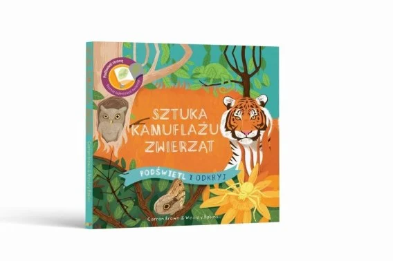 edukamp-22026061202405069092