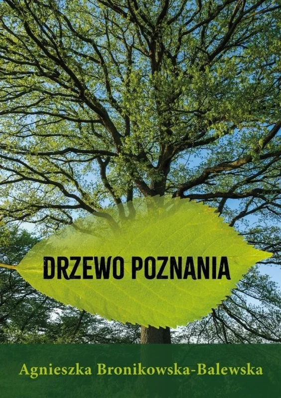 edukamp-22026061206033283708