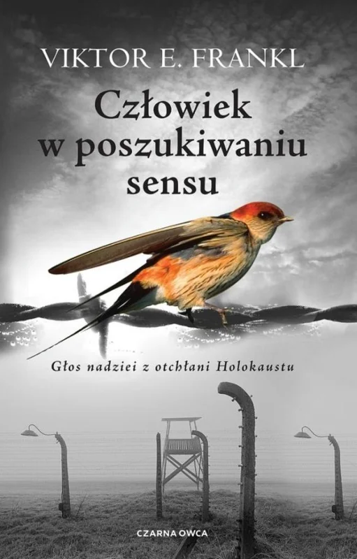 edukamp-22026061208153689490