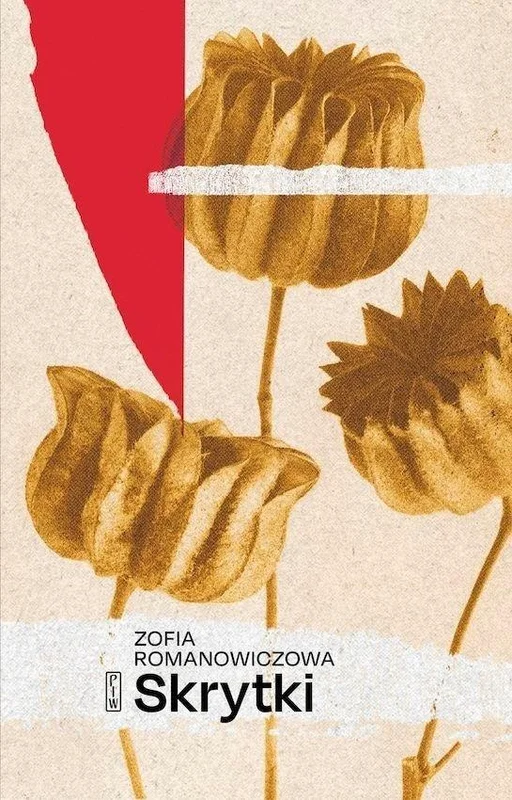 edukamp-22026061209481593504