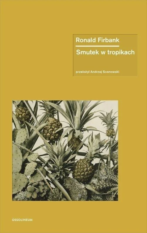 edukamp-220260612131953120026