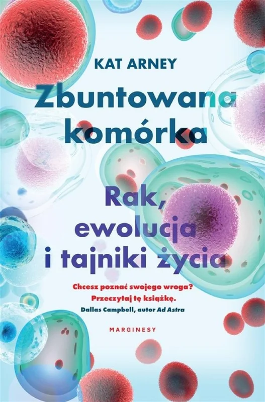 edukamp-220260614084058384671