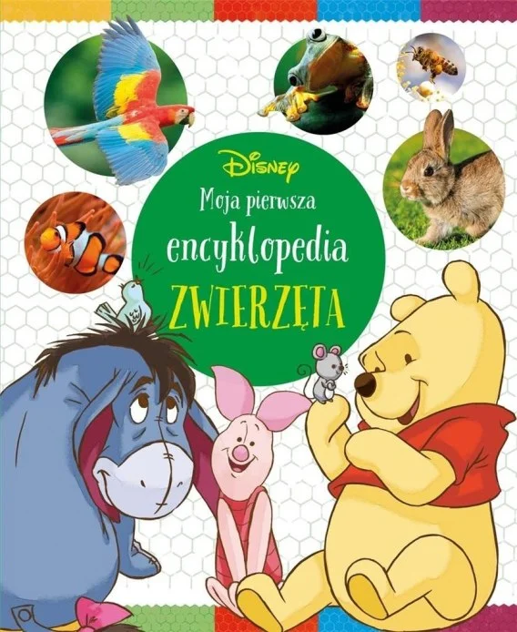 edukamp-220260614095204387705