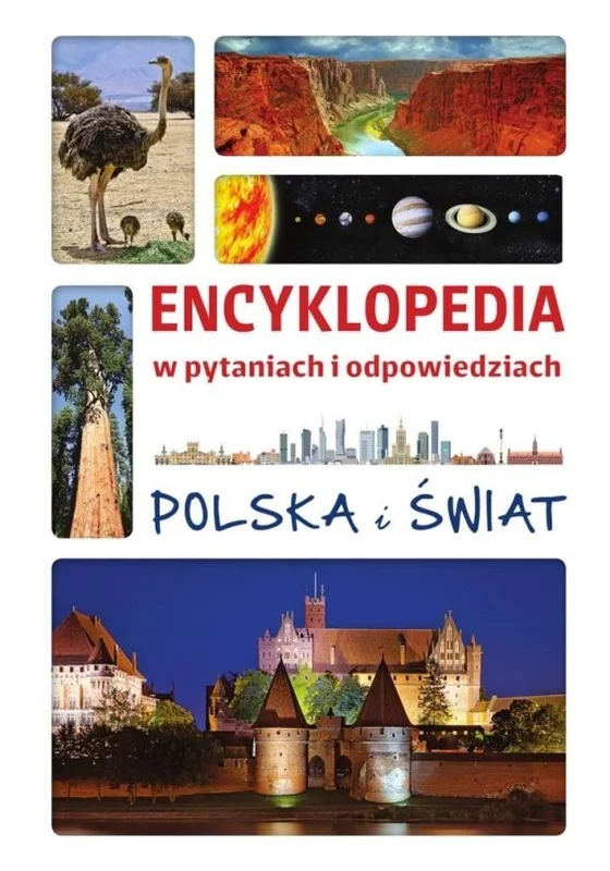 edukamp-220260614134833398514