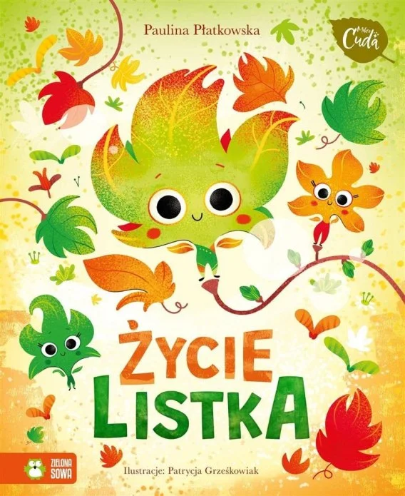 edukamp-220260614203752472641