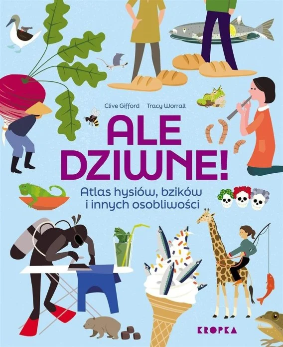 edukamp-220260615072602509884