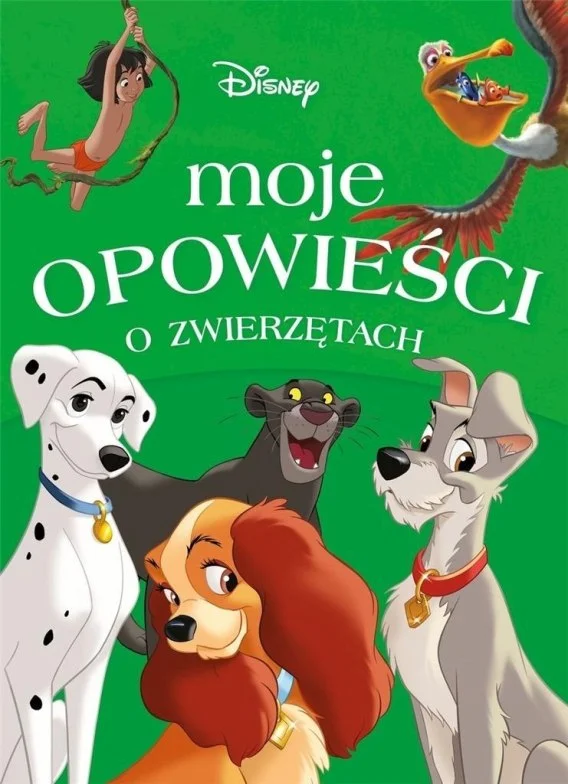 edukamp-220260615092940514603