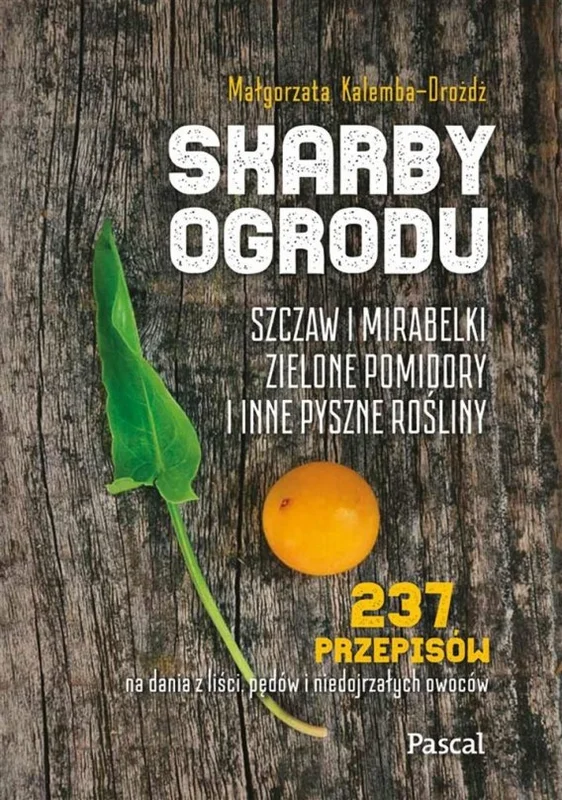 edukamp-220260615120213519854