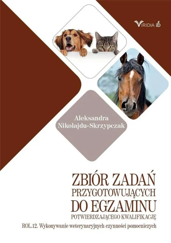 edukamp-220260616102404583314
