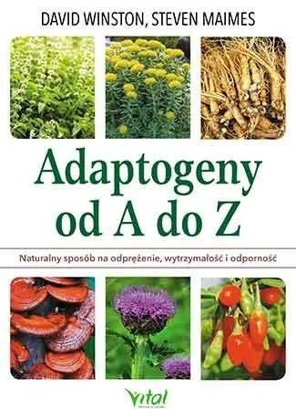 edukamp-220260616104905586128