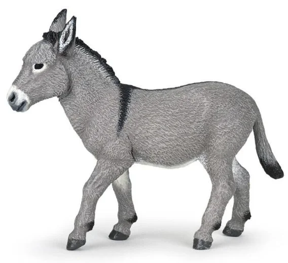 edukamp-3202606101324193560830