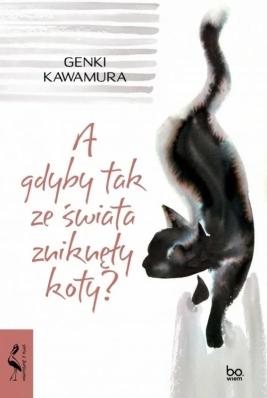 edukamp-3202606101809123607369