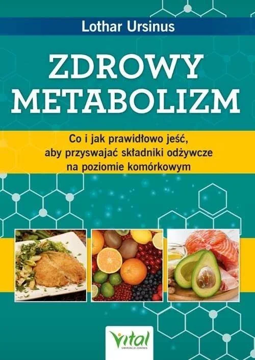 edukamp-3202606102127513628725
