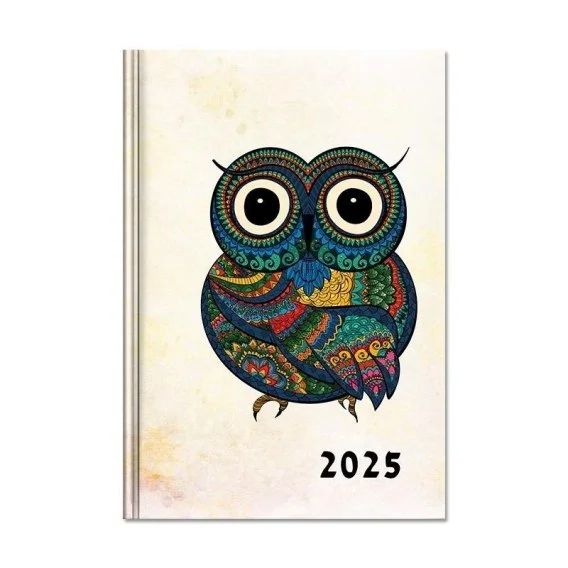edukamp-32026061116034625763
