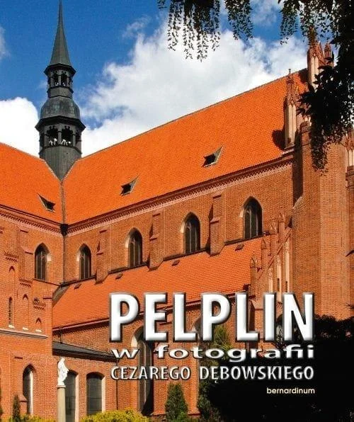 edukamp-32026061120521045982