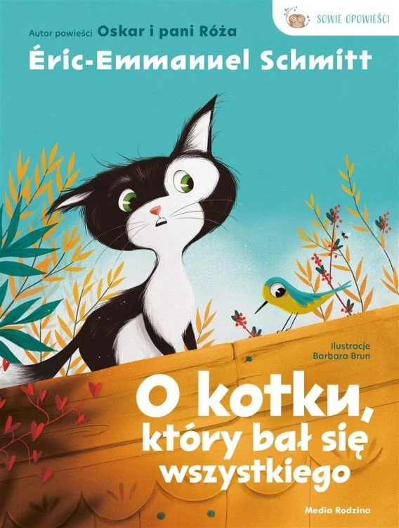 edukamp-32026061122595053743