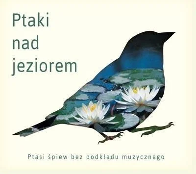 edukamp-32026061206091784000