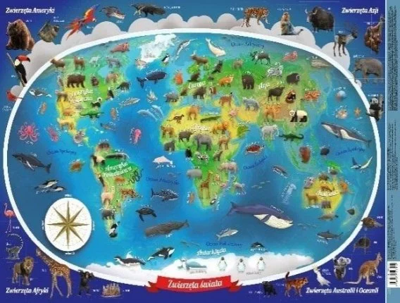 edukamp-32026061207271687374