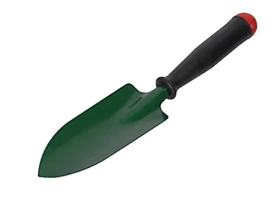 edukamp-320260612185550147772