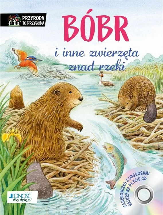 edukamp-320260612190902149866